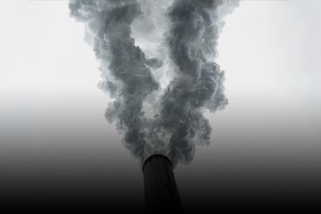 Stewardship_Climate action
